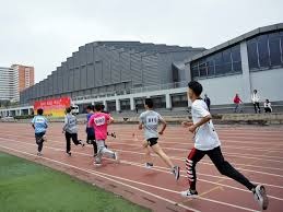 MLB联盟组织效率分析