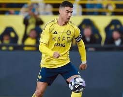 马术人收藏｜Cavalor的4个黄金建议，助你和爱马清凉迎赛季