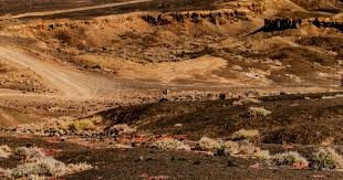 弟媳发布和内马尔合照，引发弗鲁米嫩塞球迷猜测其加盟热潮